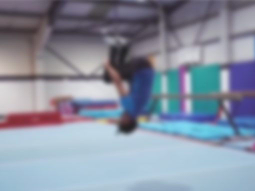 Adult Gymnastics